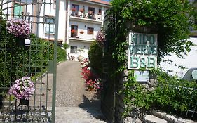 Nido Verde